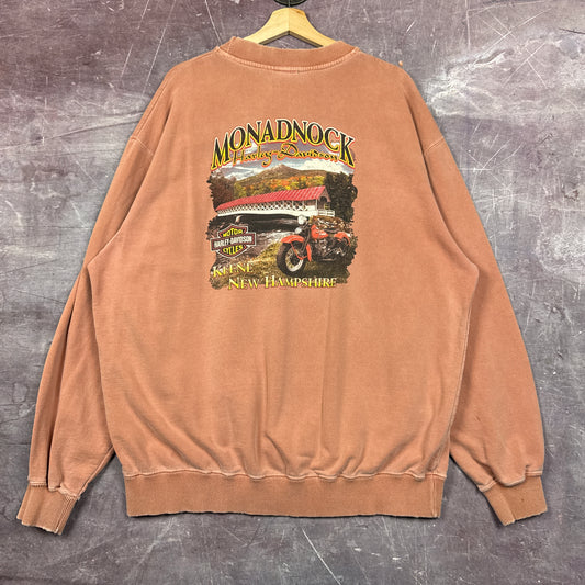 00s Clay Red Harley Davidson Sweatshirt 3070