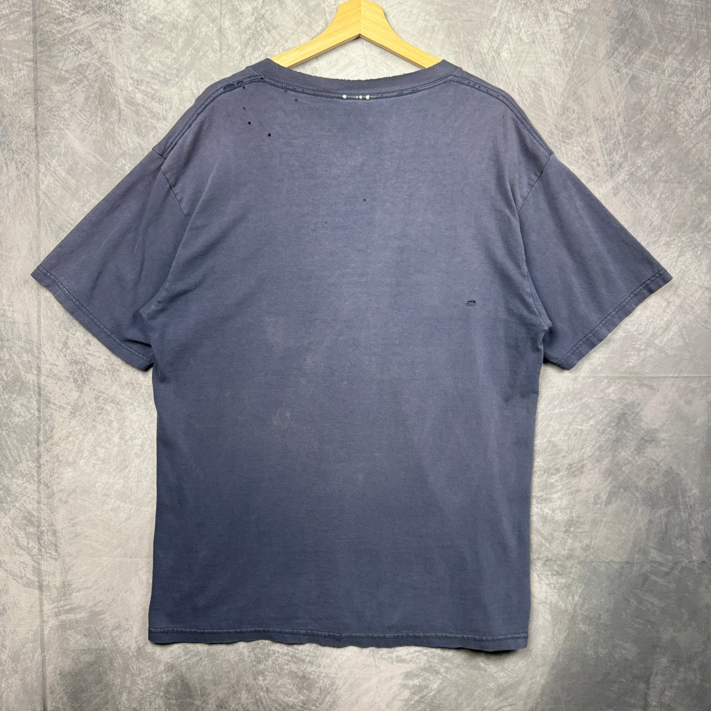 00s Blue Dale Earnhardt Jr Shirt 3976