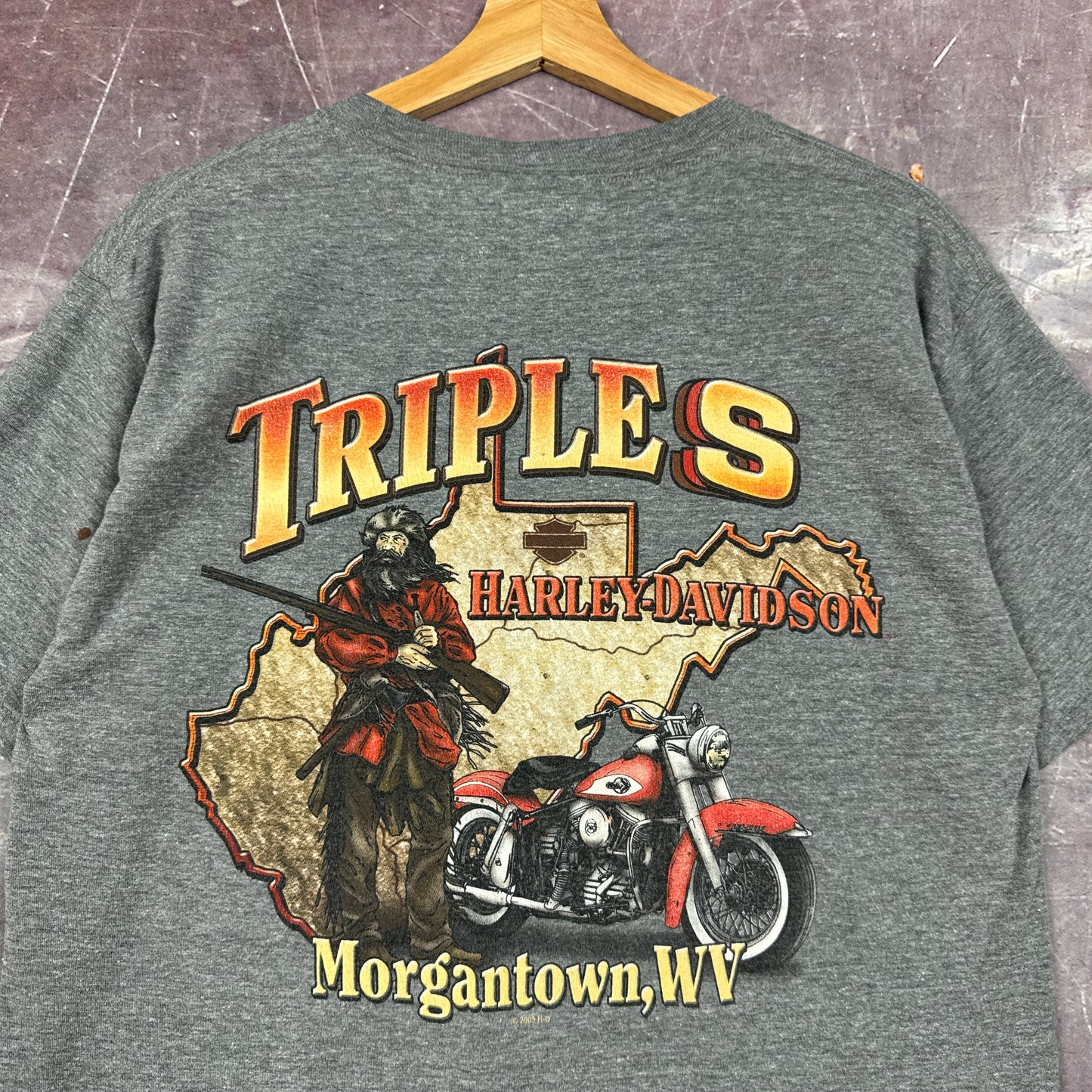 00s Grey Harley Davidson Shirt C33