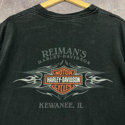 Early 00s Faded Black Harley Davidson 105 Years Illinois Flame Graphic Shirt L 1114