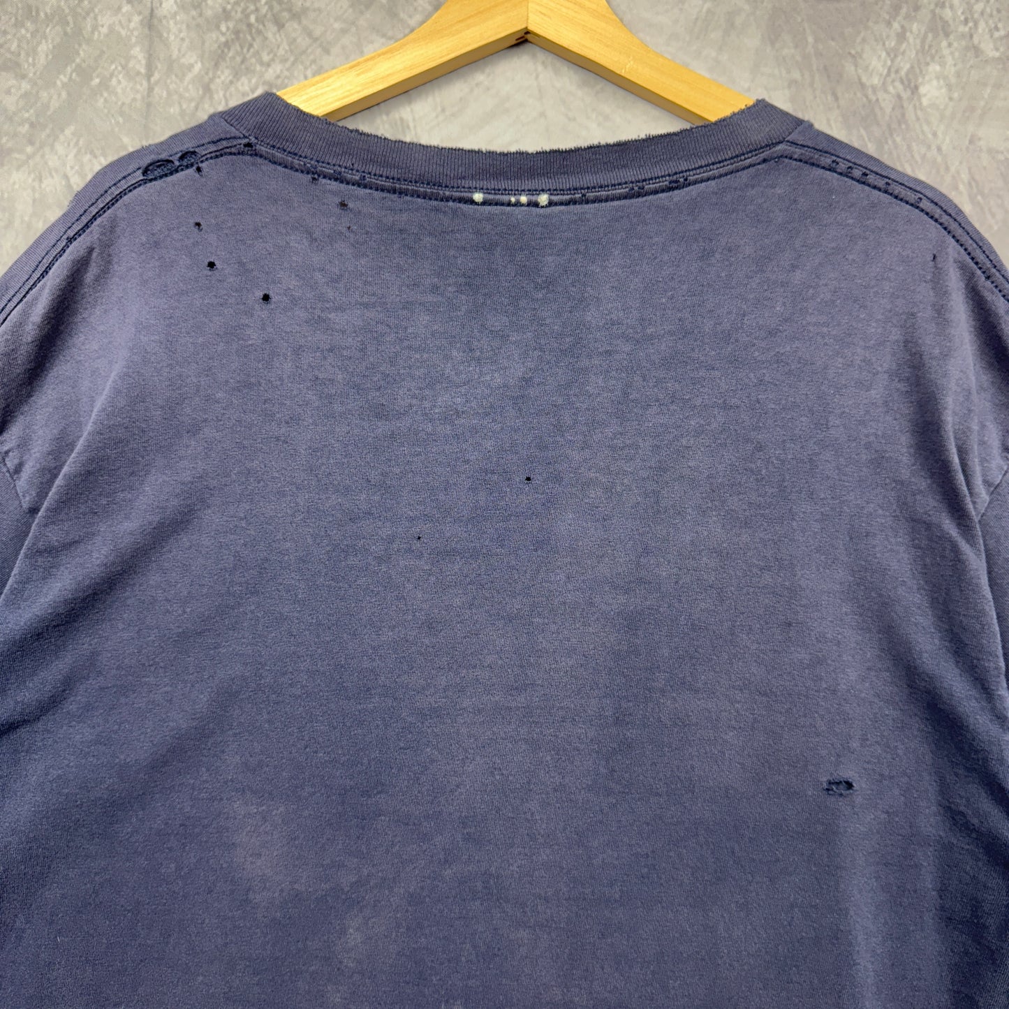 00s Blue Dale Earnhardt Jr Shirt 3976