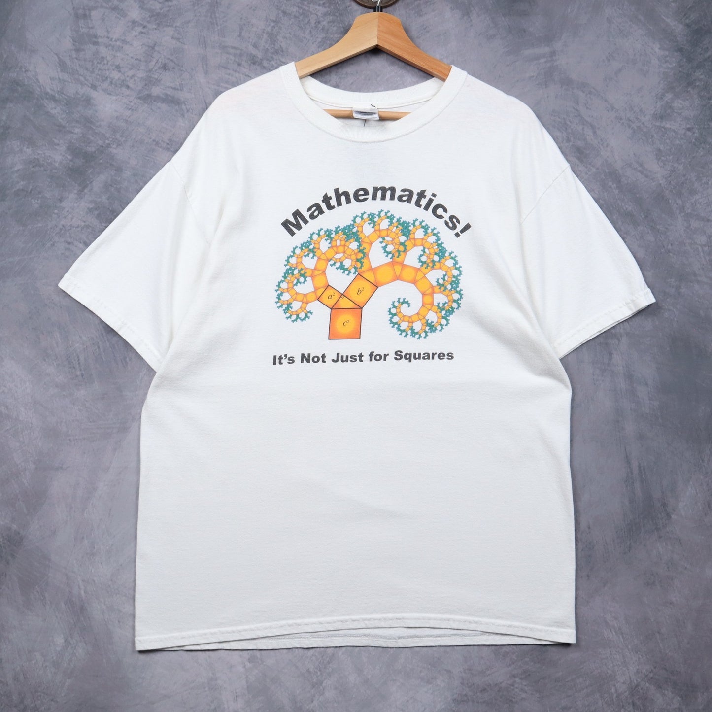 Early 2000s White Mathematics "It's Not Just For Squares" MAA Shirt 4659