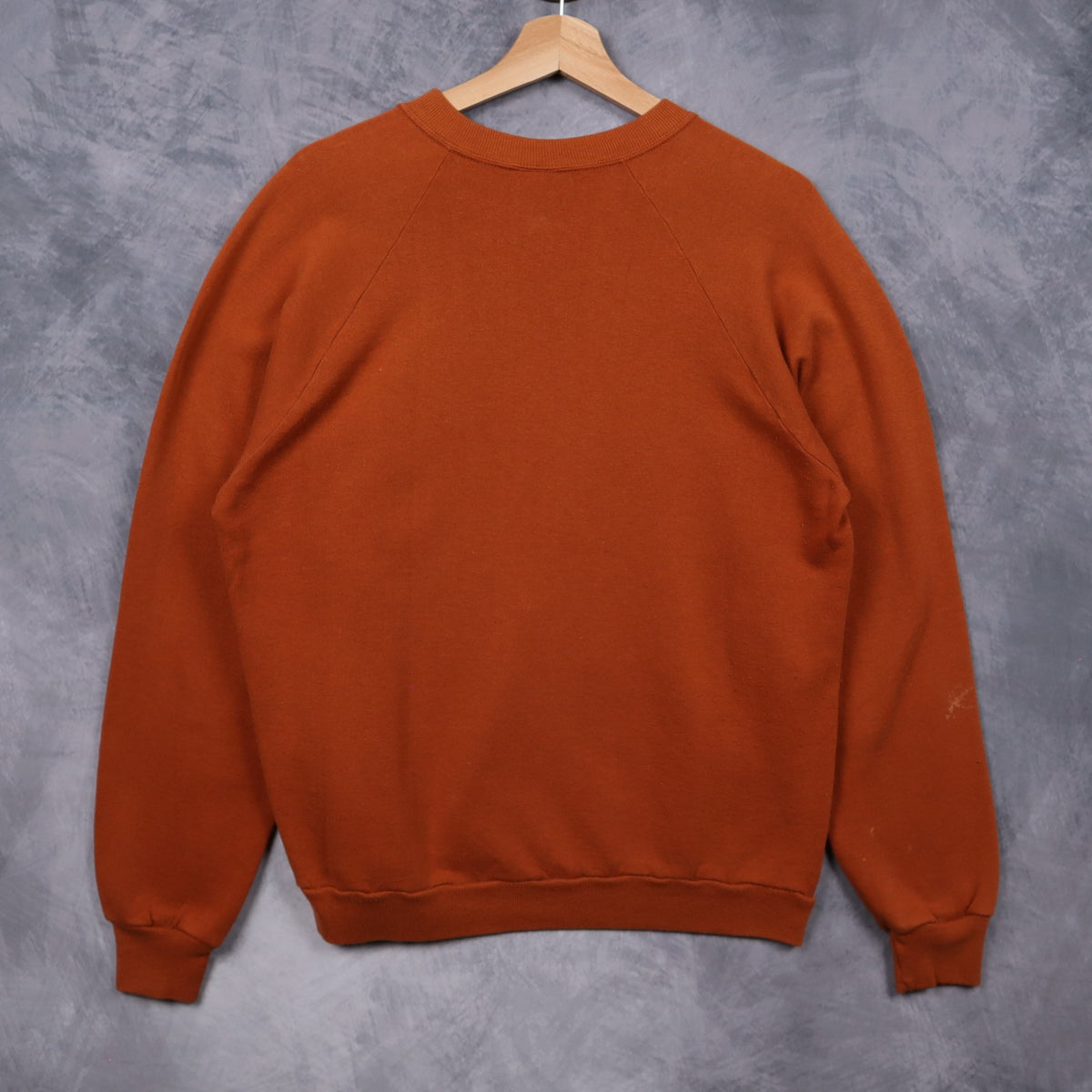90s Burnt Orange Texas Longhorns Crewneck Sweatshirt 5705