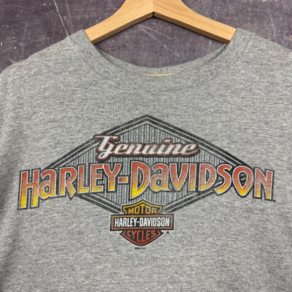 00s Light Gray Switzerland Harley Davidson Motorcycle Graphic Shirt XL 1047