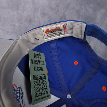 00s Blue Florida Gators Snapback Hat 5560