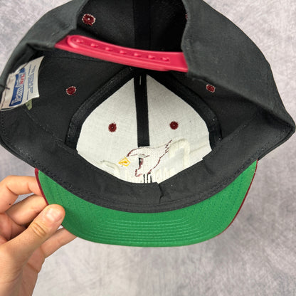 90s Black Phoenix Cardinals Snapback Hat 6877